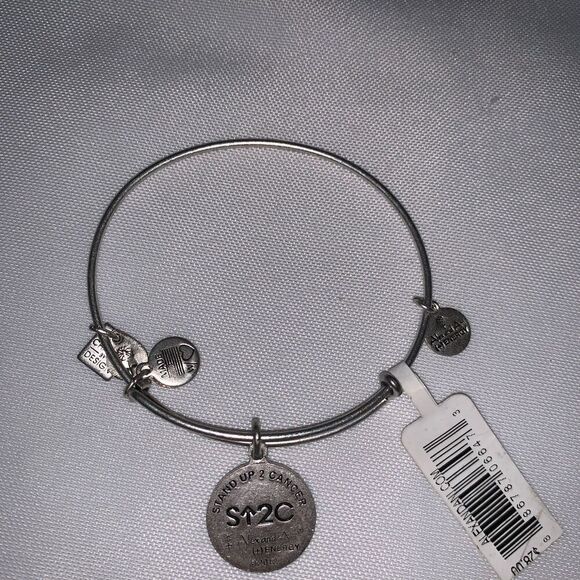 Stand Up Charm Bangle in Rafaelian Silver : Stand Up To Cancer - Picture 5 of 6